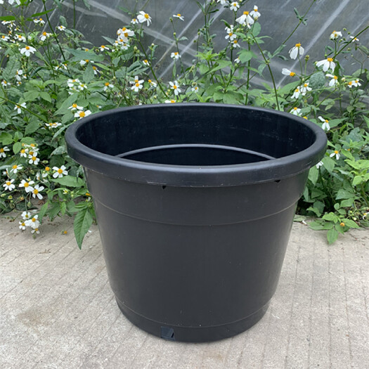 广州黑色高筒塑料花盆适合种树的盆