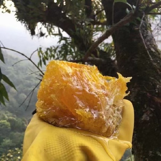 佛山野蜂蜜  大挂蜜