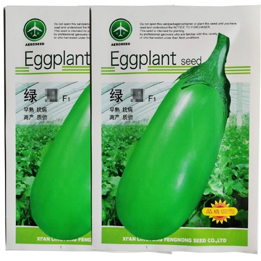 济南茄子种子 绿冠茄种子 绿罐茄种籽早熟茄子绿茄子籽青皮茄子绿皮