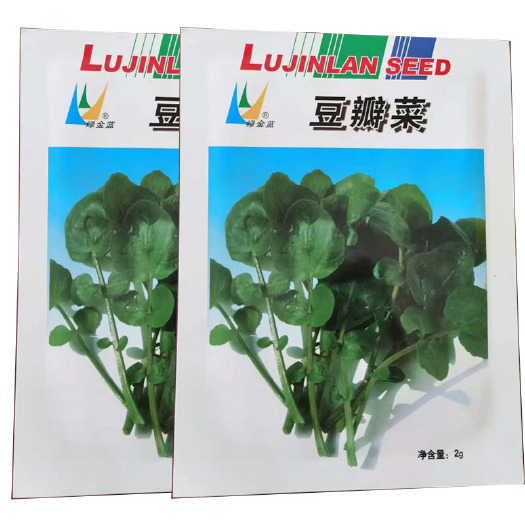 西洋菜种子  西洋菜种籽 豆瓣菜种子四季菜种水芥菜蔬菜孑