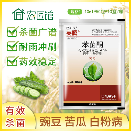 兰陵县 巴斯夫英腾苯菌酮黄瓜草莓葡萄月季多肉玫瑰白粉病农药杀菌剂
