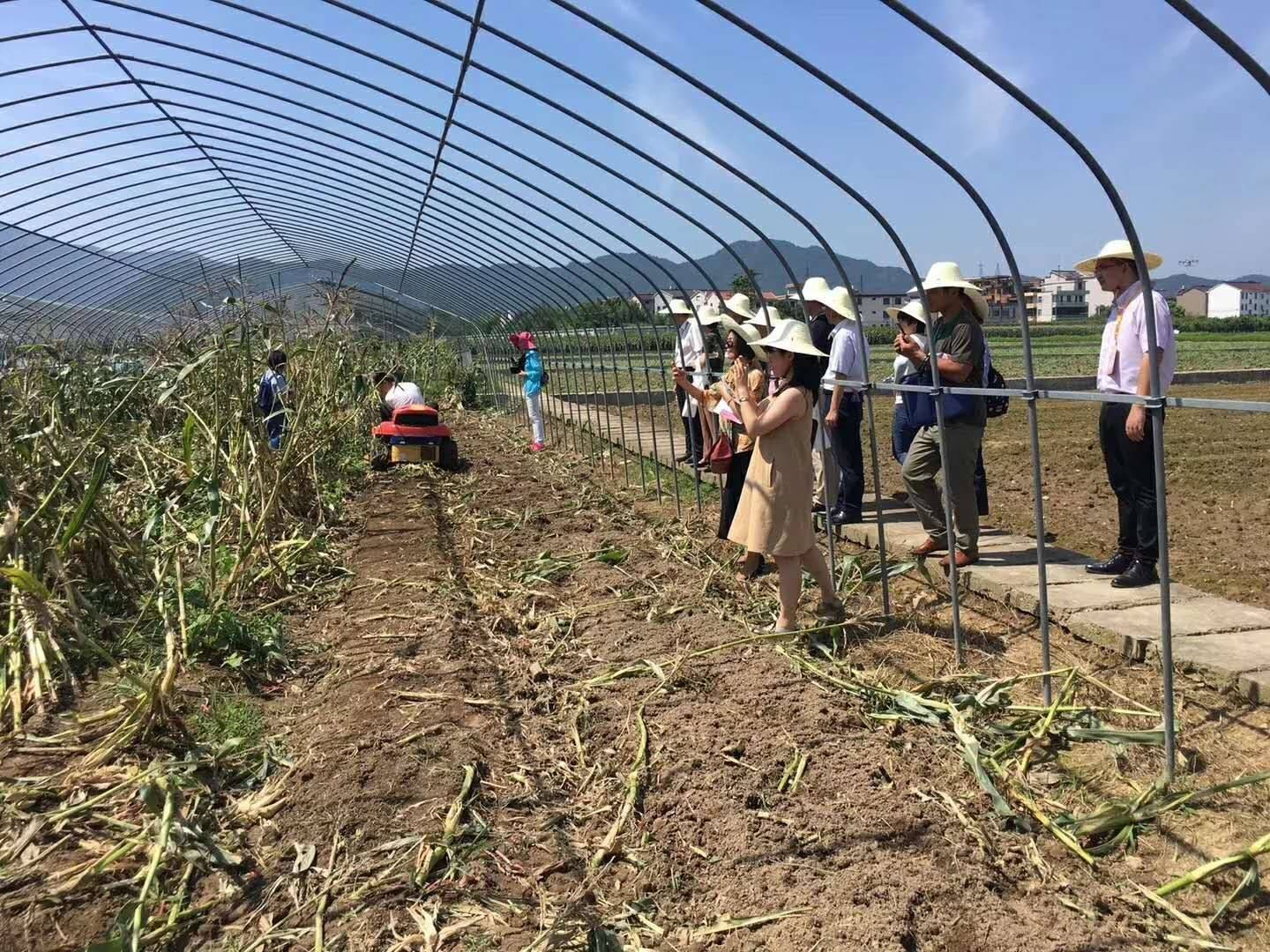 割草機  座駕式割草碎草一體機果園剪草機
