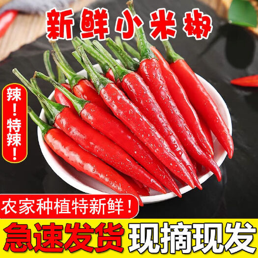 阳江现摘现发新鲜小米椒批发特辣朝天椒指天椒红辣椒农家蔬菜尖椒剁椒