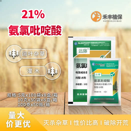 南京荒地远藤氨氯吡啶酸阔叶杂草 藤蔓类杂草 拉拉藤 紫茎泽兰杂草