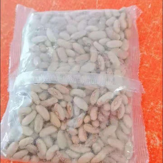 长沙四季豆种子高产搭架优质