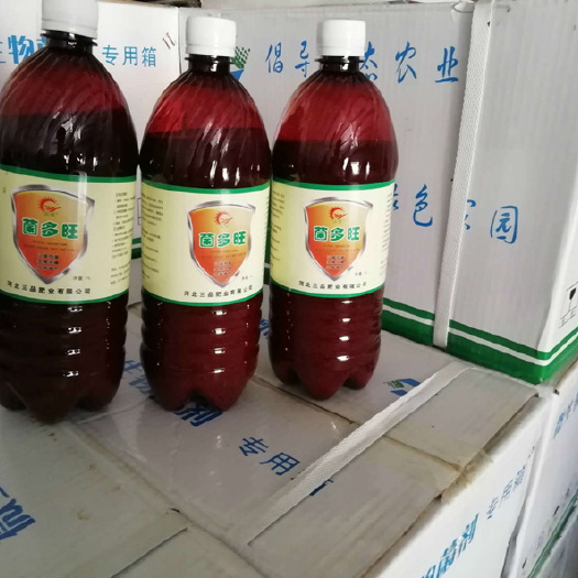 石家庄生根菌剂 防治病害 50亿液体微生物菌剂