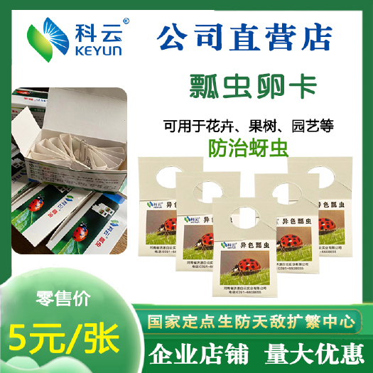 生物防治虫 科云异色瓢虫卵卡蚜虫红蜘蛛小菜蛾美国白蛾虫卵克星