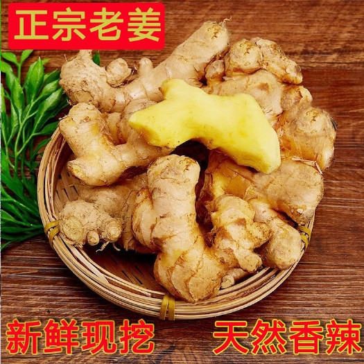 盘州市 云南贵州小黄姜老姜批发质量好货源充足