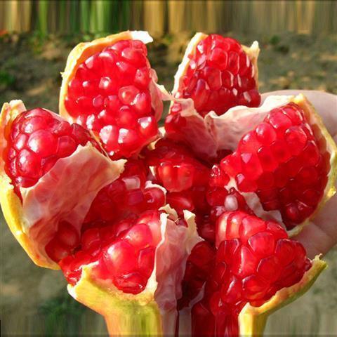 昆明 突尼斯软籽石榴水果新鲜应季水果甜石榴