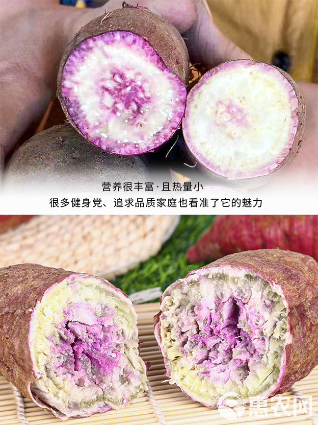 一点红红薯  花心红薯冰淇淋番薯一点红紫心红