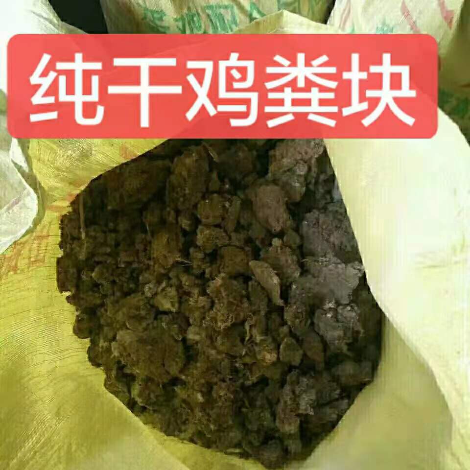  晾干鸡粪块可用于果树三品厂家直发无杂质干鸡粪块