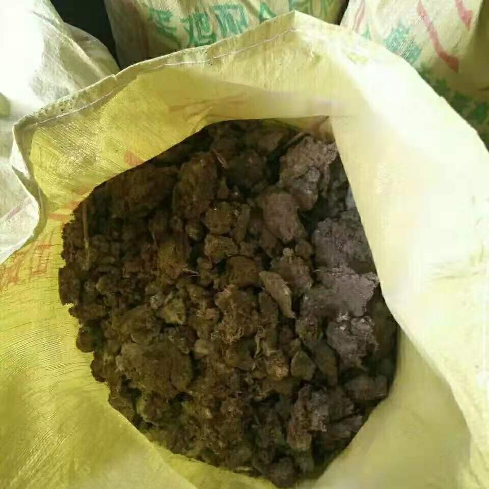  晾干鸡粪块可用于果树三品厂家直发无杂质干鸡粪块
