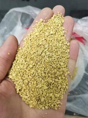  豆粕量大