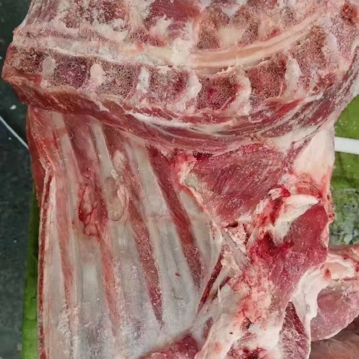 郑州羊排   羔羊四分体 六分体  嫩 不注水 全国冷链发货