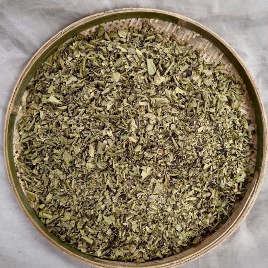 重庆市多穗石柯木姜叶柯重庆梁平甜茶叶嫩叶片碎茶
