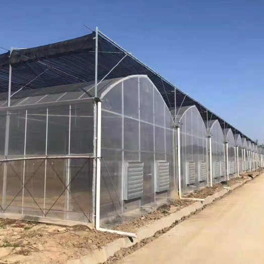 郑州 温室大棚防虫网的规格和安装