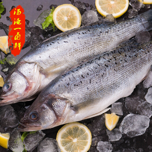 青岛青岛特色一卤鲜（不晒）海鲈鱼一鲁鲜