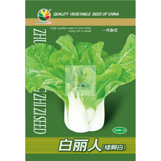 株洲上海青种子矮脚白种子-白丽人奶油矮脚白小白菜种子秋季全年播种