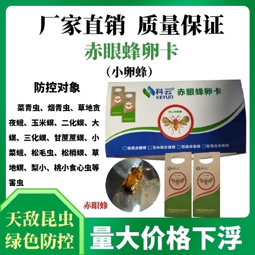 济源市赤眼蜂卵卡寄生蜂水稻玉米松毛虫稻螟甘蔗螟虫5张／亩