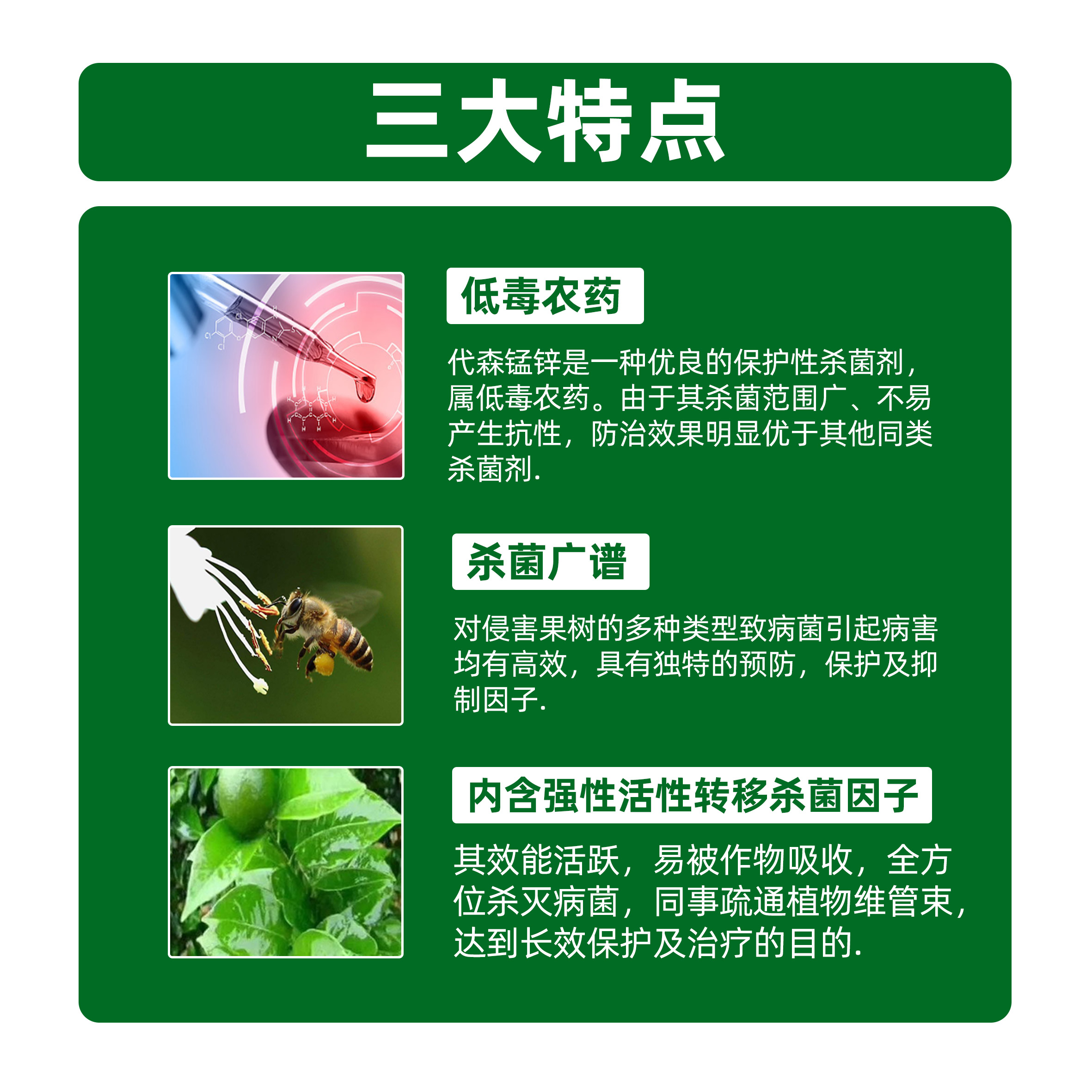 农药代森锰锌代森猛辛梓果树花卉蔬菜葡萄叶斑白粉病农用杀菌剂