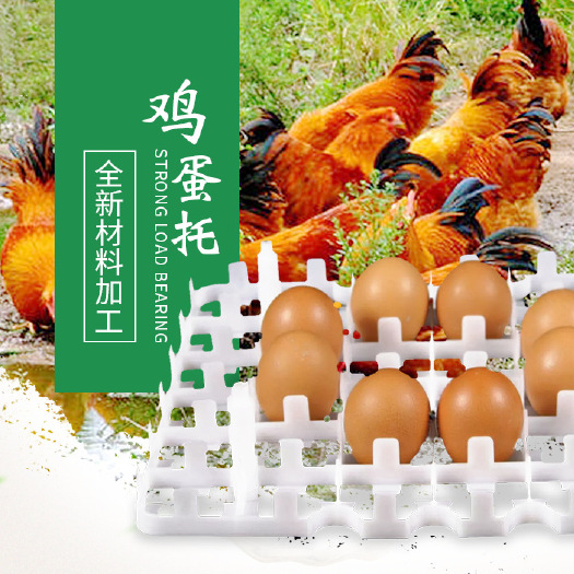 诸城市 超市养殖场鸡蛋周转托盘 36枚塑料鸡蛋托 鸡蛋托盘厂家