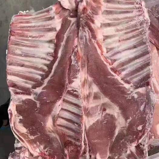 郑州羊排 羊排骨 肉多 瘦肉多 油少