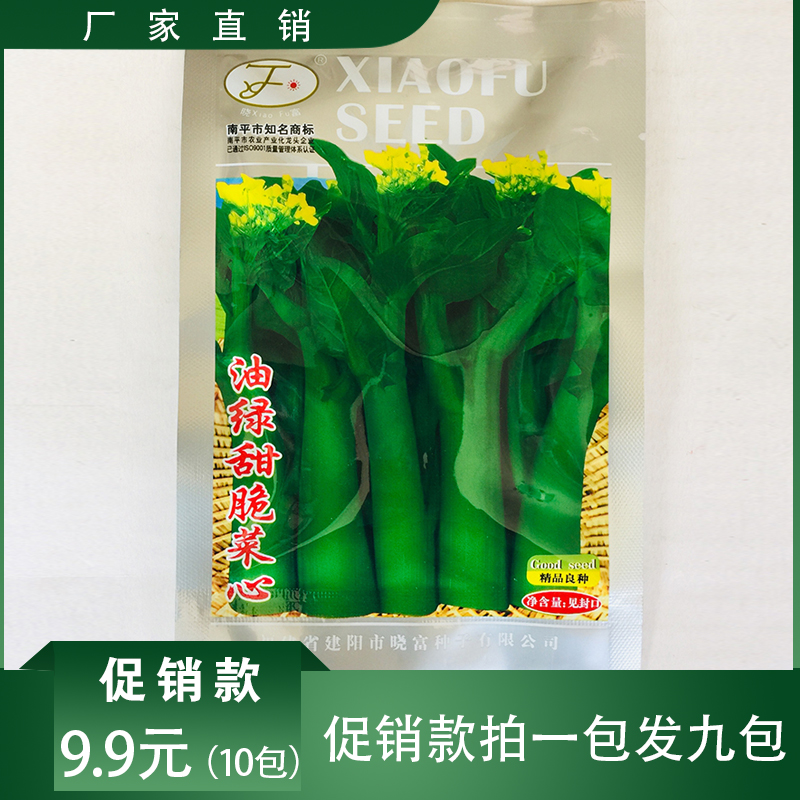 沭阳县甜菜心种子  菜心种子油绿甜脆菜心种子包邮送资料