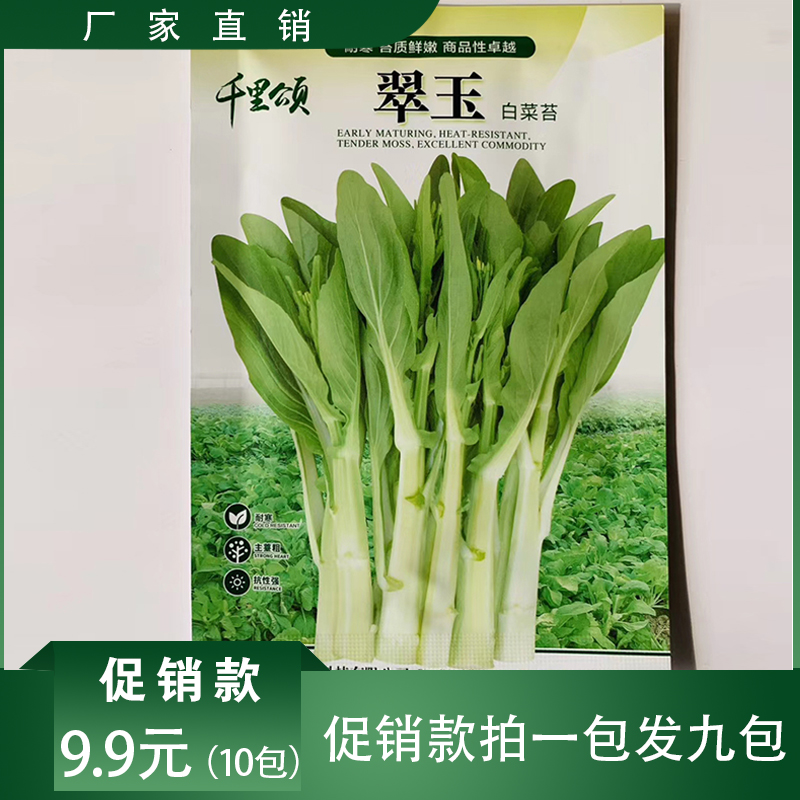 沭阳县白菜苔种子白菜苔种子菜心种子红菜苔种子红菜心种子包邮