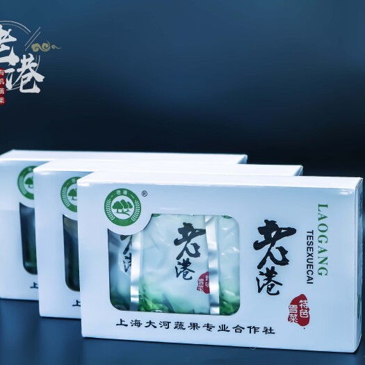 上海酱腌菜 老港雪菜下饭菜上海特产地方特色