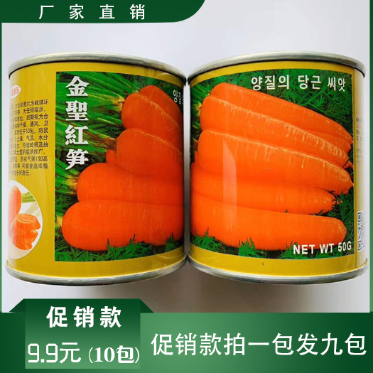 沭阳县胡萝卜种子三红胡萝卜种子包邮批发优质种子