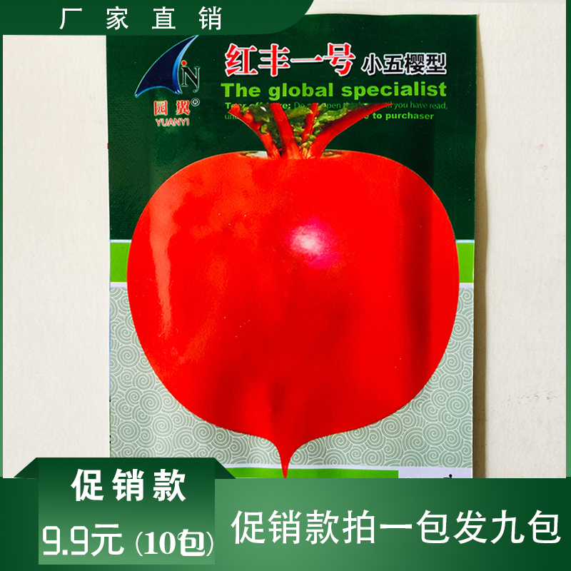 沭阳县五缨萝卜种子  小五樱萝卜种子包邮五樱型萝卜种子抗病性好口感佳