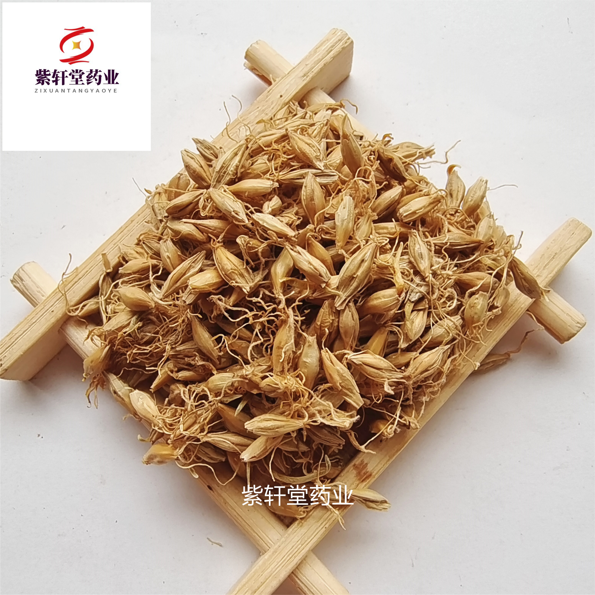 鄄城县中药材麦芽 麦芽 生麦芽带芽多 产地直销实物拍摄 产地山东省