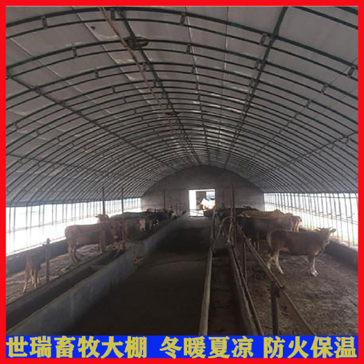 宁津县养殖大棚 养牛大棚搭建 钢架养牛大棚建设 牛棚安装