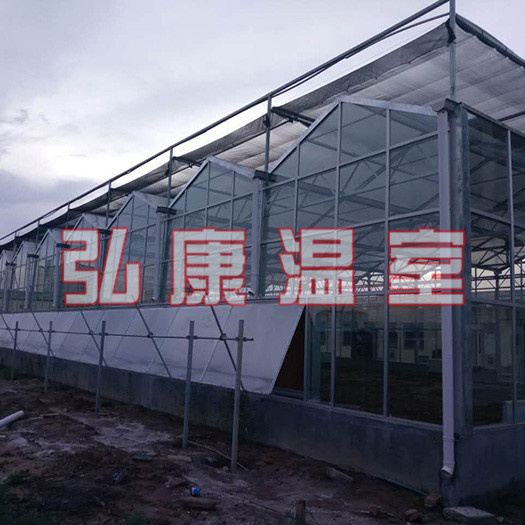 青州市种植大棚 智能玻璃温室