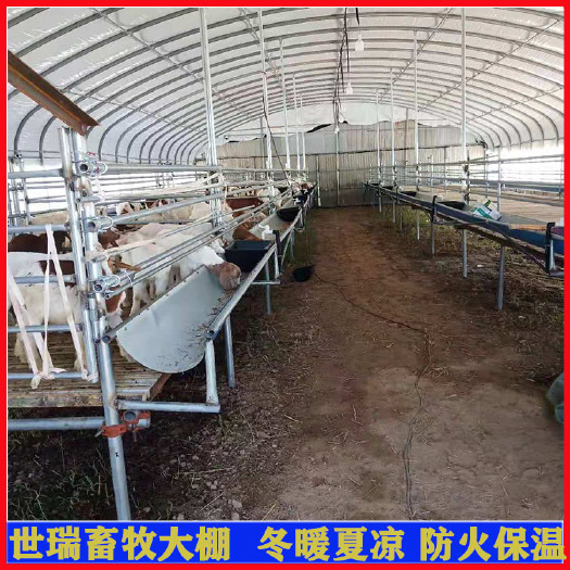 宁津县 养羊大棚安装 建设养羊棚 山羊养殖大棚搭建