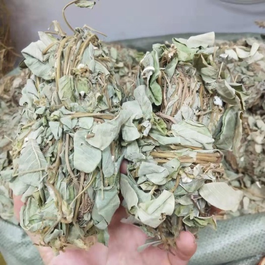 金钱草 今年新货金钱草 青绿小扎把 干度好