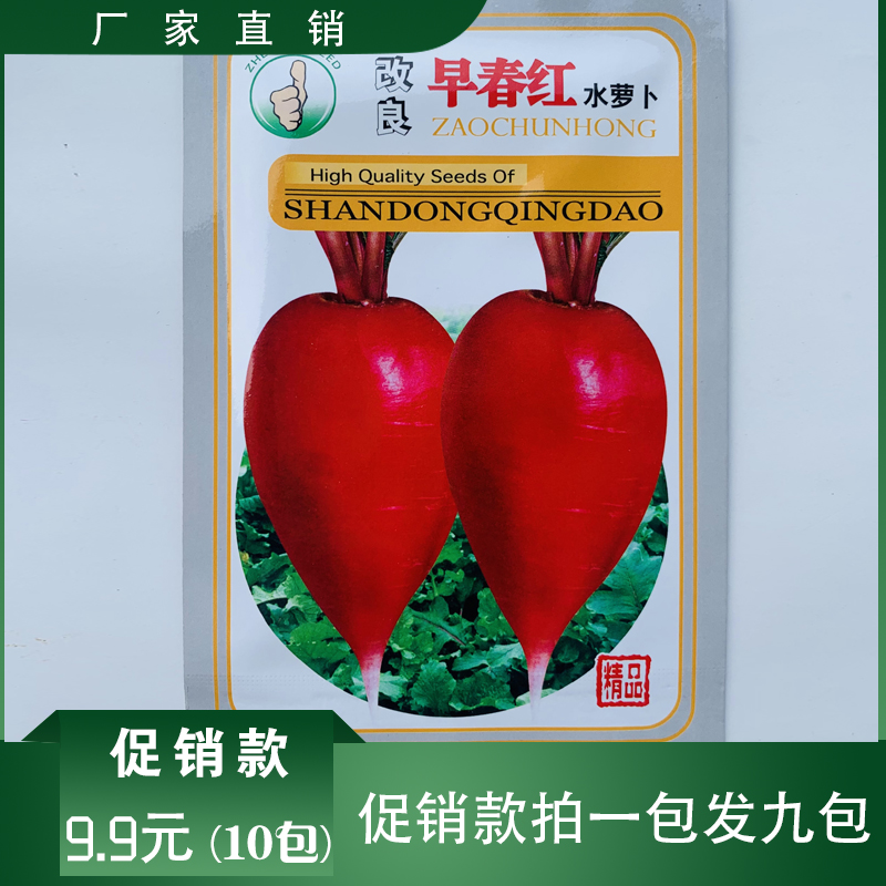 沭阳县水萝卜种子包邮优质水萝卜种子501水萝卜种子家庭种植芽菜苗种