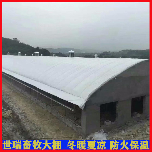 宁津县养殖大棚 搭建养牛大棚厂家 牛棚建造 养牛棚安装方法