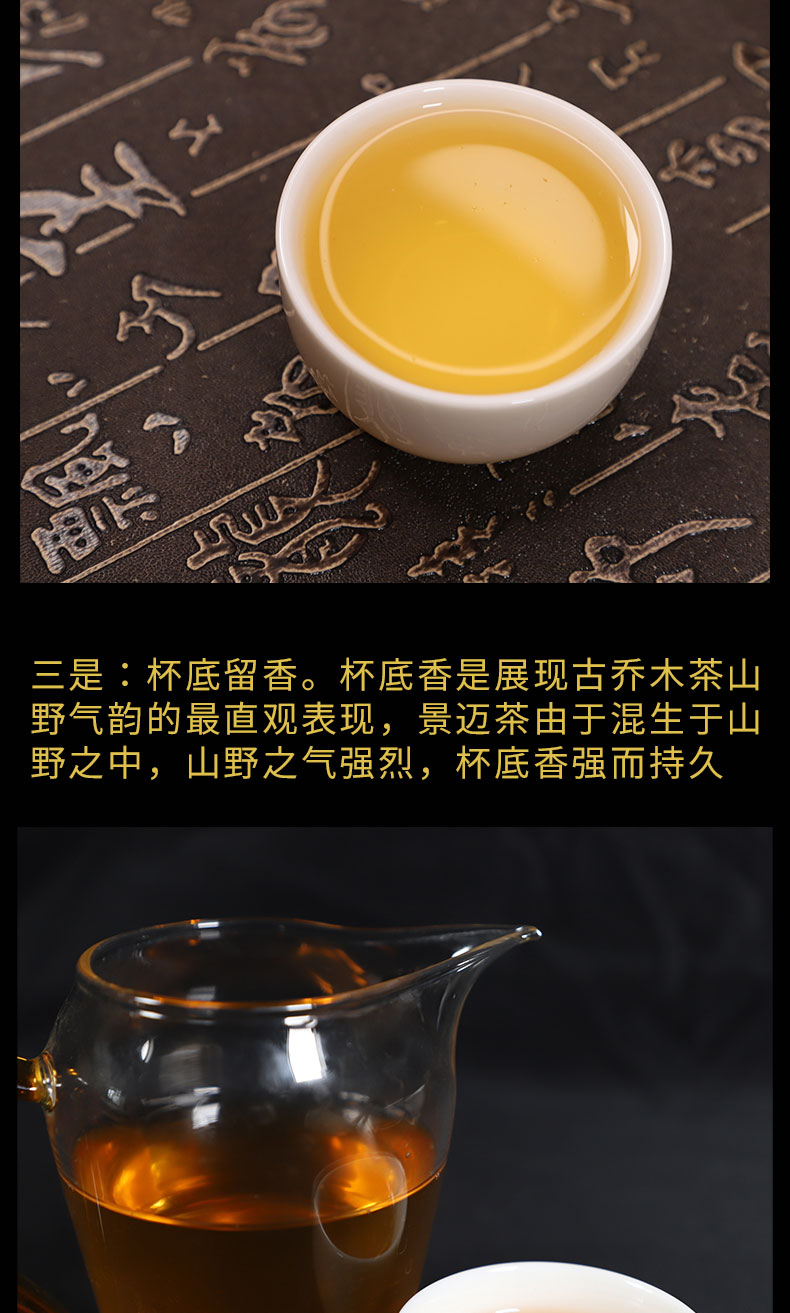 古树茶  2019景迈兰韵普洱茶生茶