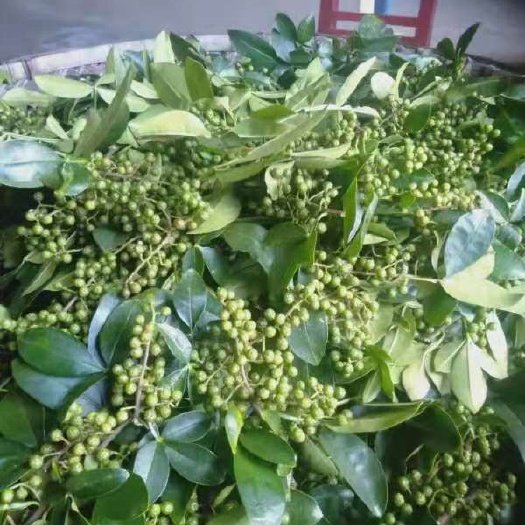 关岭县九叶青花椒鲜花椒贵州板贵青花椒鲜货