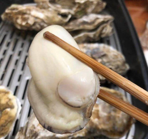 乳山市牡蛎 乳山生蚝批发一手货源货量充足现捞现发品质保证