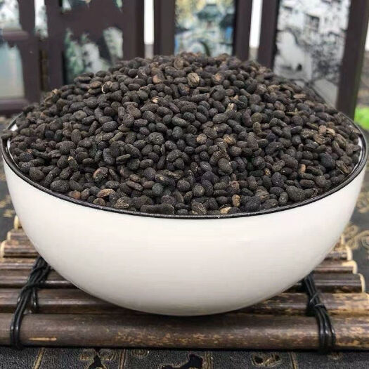 亳州精补骨脂 婆固脂 色选货无杂