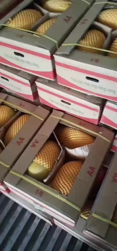 万亩哈密瓜种植基地，产地一手货源，欢迎咨询。