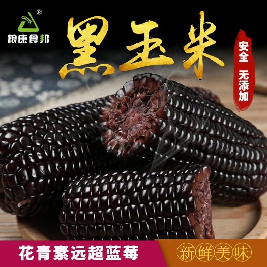 益阳黑玉米  湖南本地开袋即食黑糯玉米轻食健康食材诚招各地经销商
