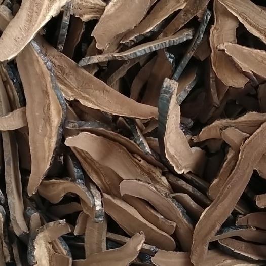 冠县黑灵芝切片，质量赢得市场，价格决定人品，专业种植只做精品好货