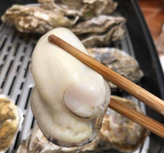 乳山市夏季乳山三倍体生蚝个大肉肥放心选购