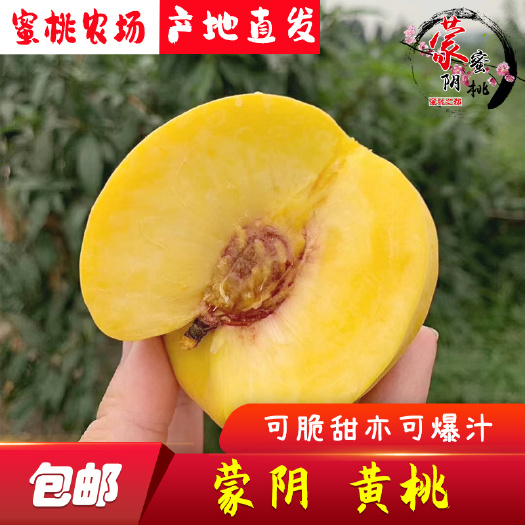 长沙黄金黄桃  【黄毛桃】蒙阴蜜桃，产地代办，一件代发，原产地，