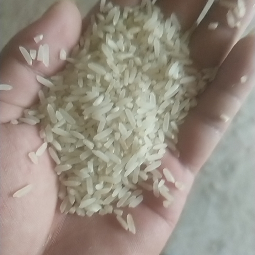 余干县稻花香 江西早稻大米，没打过农药的大米，不漂白，