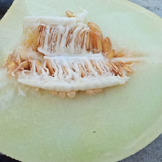 博湖县晓蜜25号  自家种的白山密，皮薄汁多，是夏季解暑的好选择