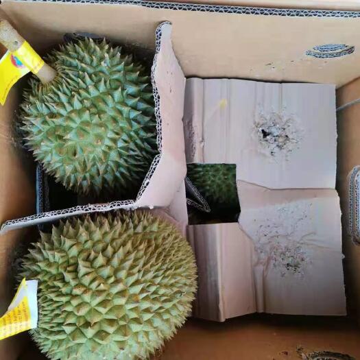 广州托曼尼榴莲，32斤净重，果型方正，大小均匀，有需要的抓紧联系